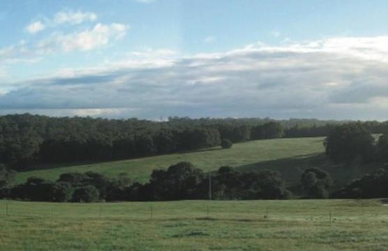 Hilltop Studios Margaret River Room photo