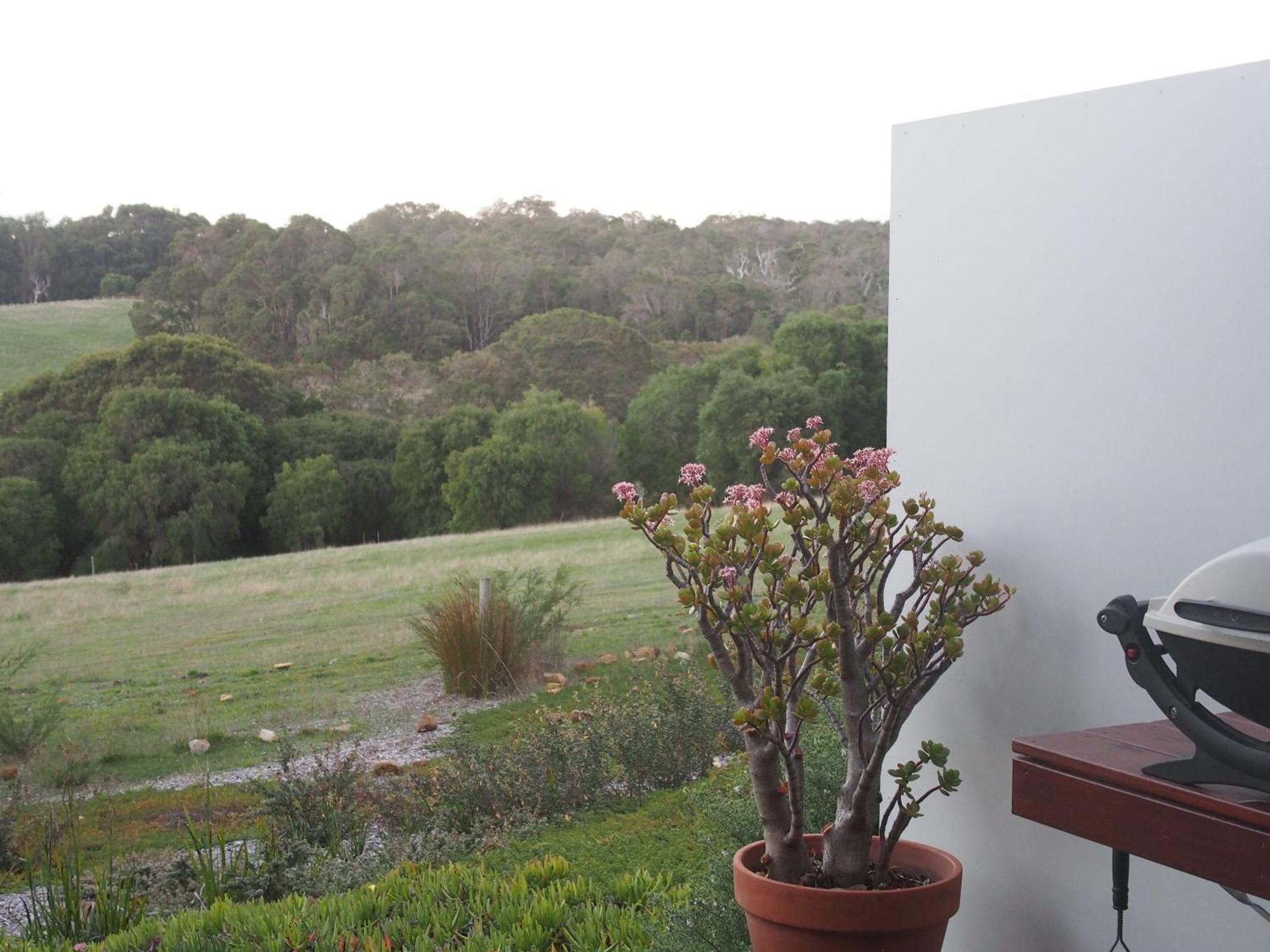 Hilltop Studios Margaret River Exterior photo